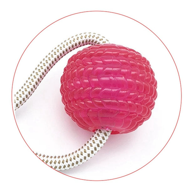 Tooth Cleaning Ball - Woofpawz