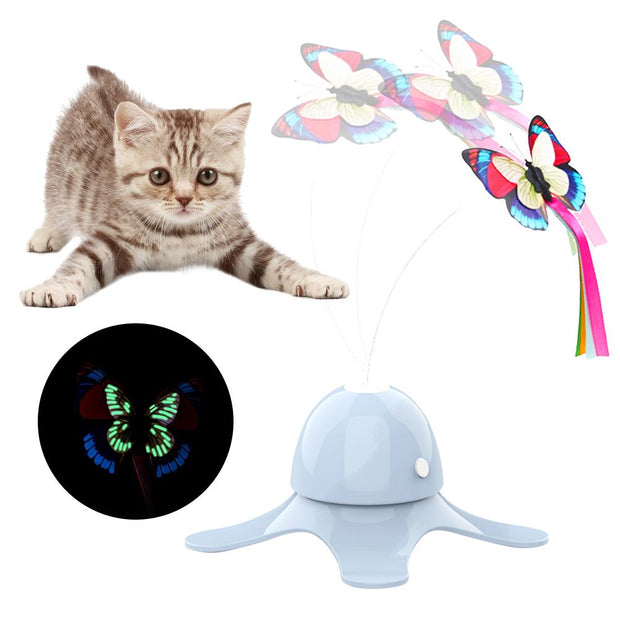Cat Exercise Toy - Woofpawz