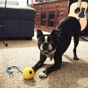 Ball On Rope - Woofpawz