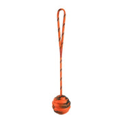 Ball On Rope - Woofpawz