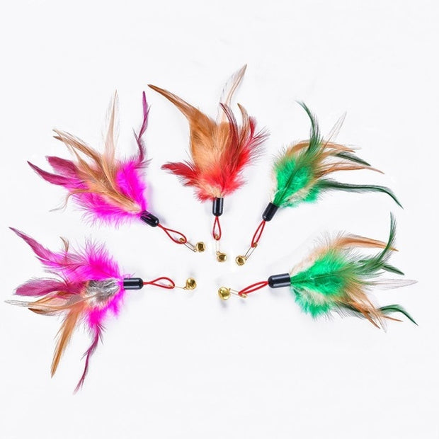 Telescopic Feather Rod - Woofpawz