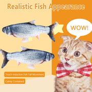 Electric Fish Toy - Woofpawz