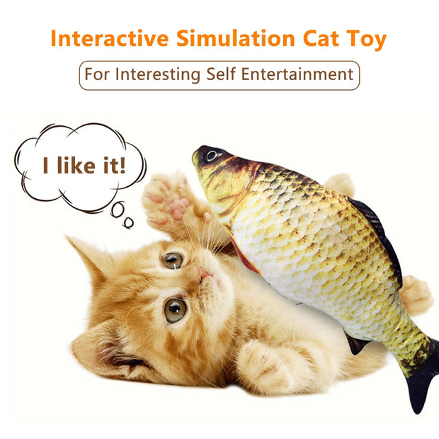 Electric Fish Toy - Woofpawz