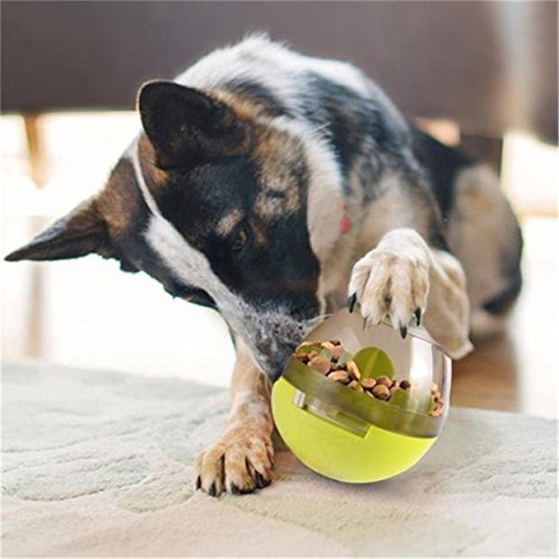 Pet Food Dispenser - Woofpawz
