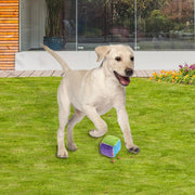 Dog Slow Feeding Toy - Woofpawz