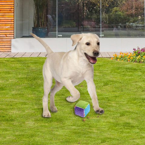 Dog Slow Feeding Toy - Woofpawz