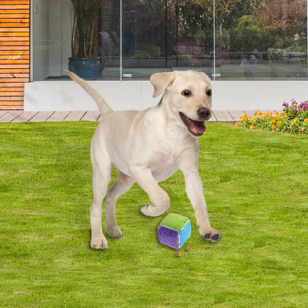 Dog Slow Feeding Toy - Woofpawz