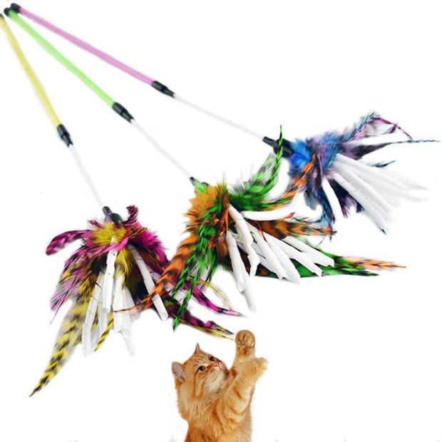 Colorful Feather Rod - Woofpawz