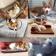 Pet Sofa Couch - Woofpawz