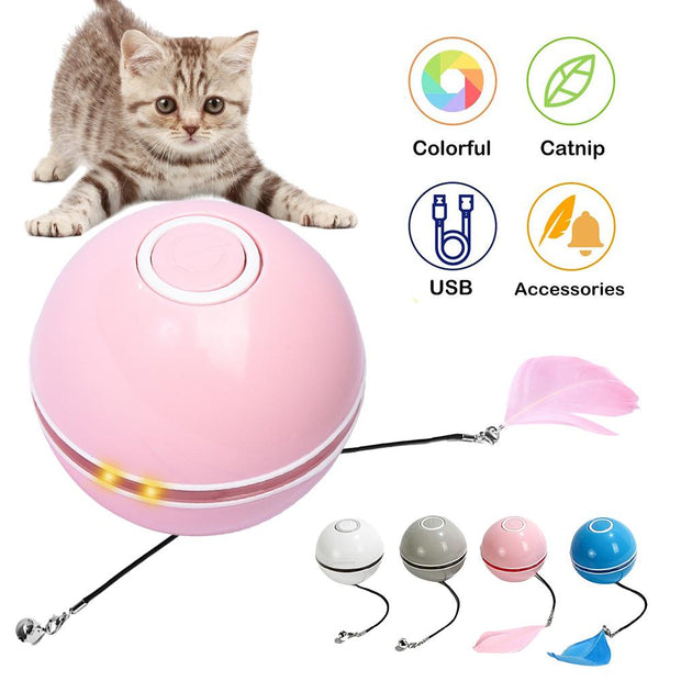 Self Rotating Ball - Woofpawz