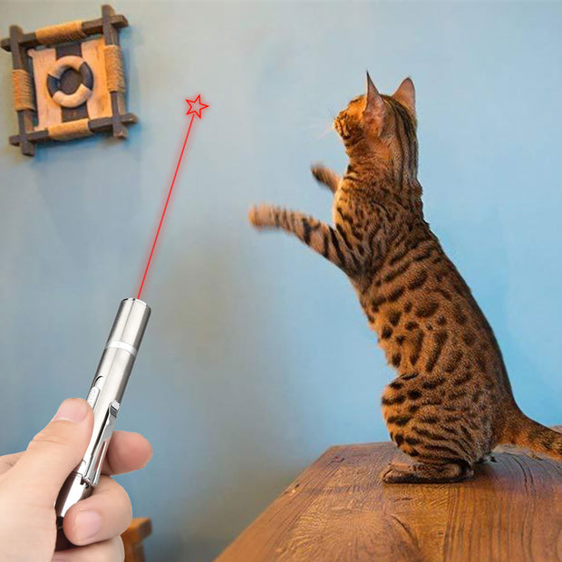 Pointer Laser Pen - Woofpawz
