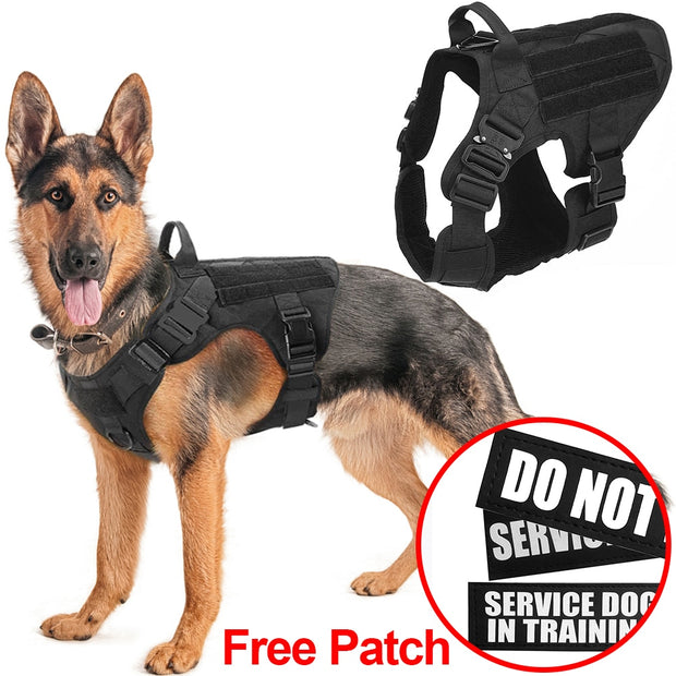 Military Tactical Pet Harness - Woofpawz