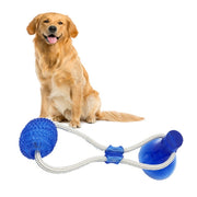 Tooth Cleaning Ball - Woofpawz