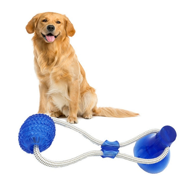 Tooth Cleaning Ball - Woofpawz