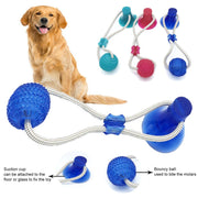 Tooth Cleaning Ball - Woofpawz