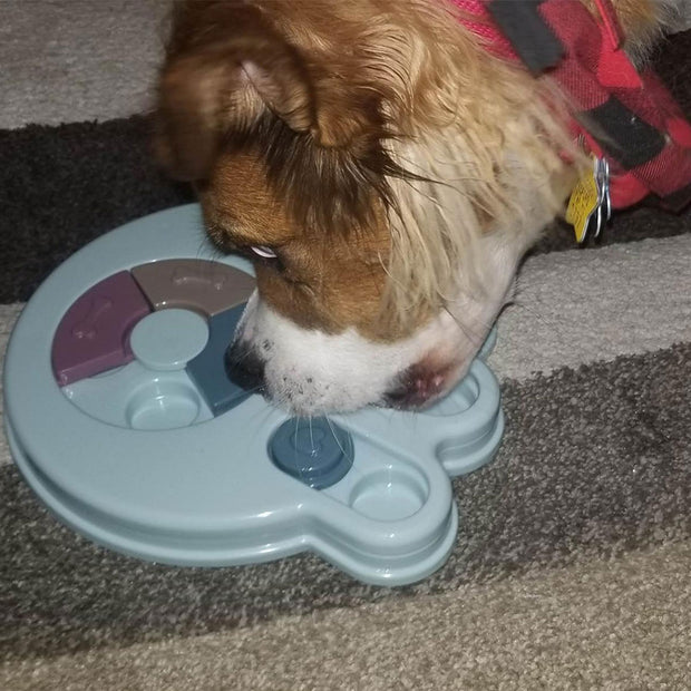 Dog Food Dispenser - Woofpawz