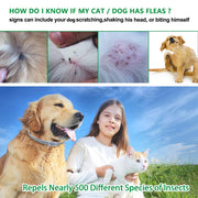 Flea and Tick Collar - Woofpawz