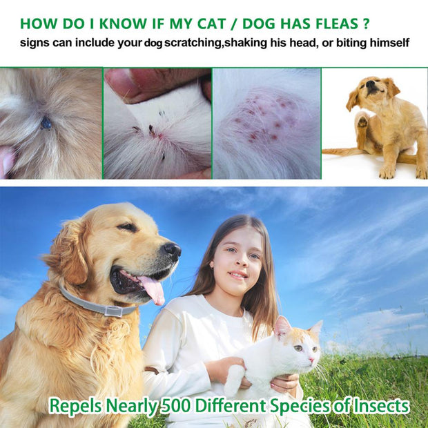 Flea and Tick Collar - Woofpawz