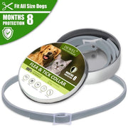 Flea and Tick Collar - Woofpawz
