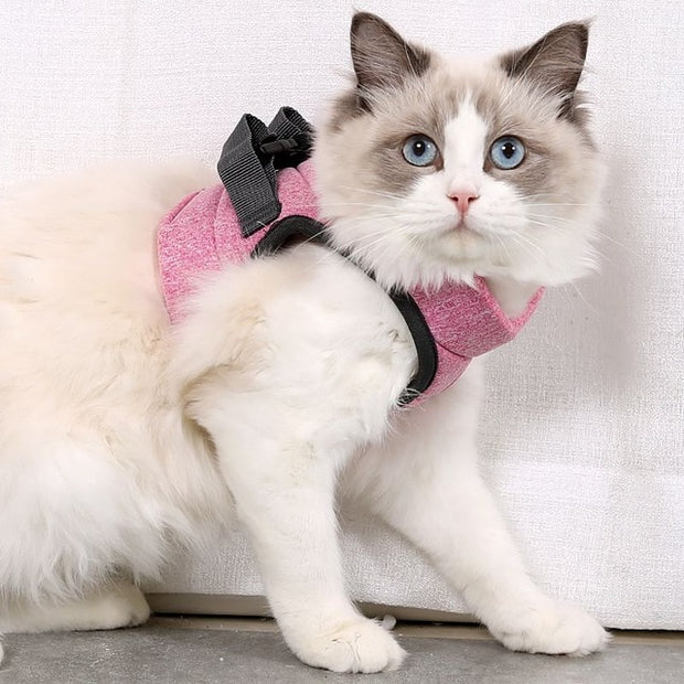 Adjustable Chest Strap - Woofpawz