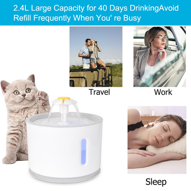Automatic Water Fountain - Woofpawz