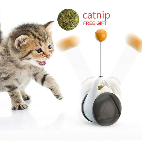 Automatic Indoor Cat Exercise - Woofpawz