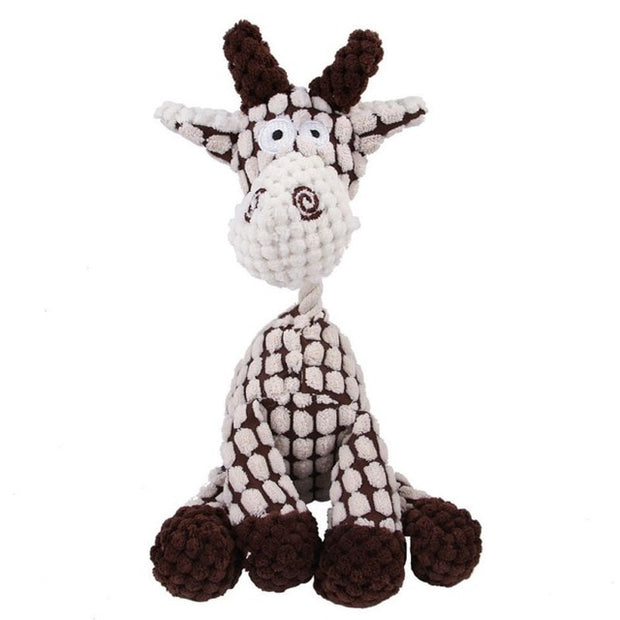Squeaky Bone Molar Toy - Woofpawz