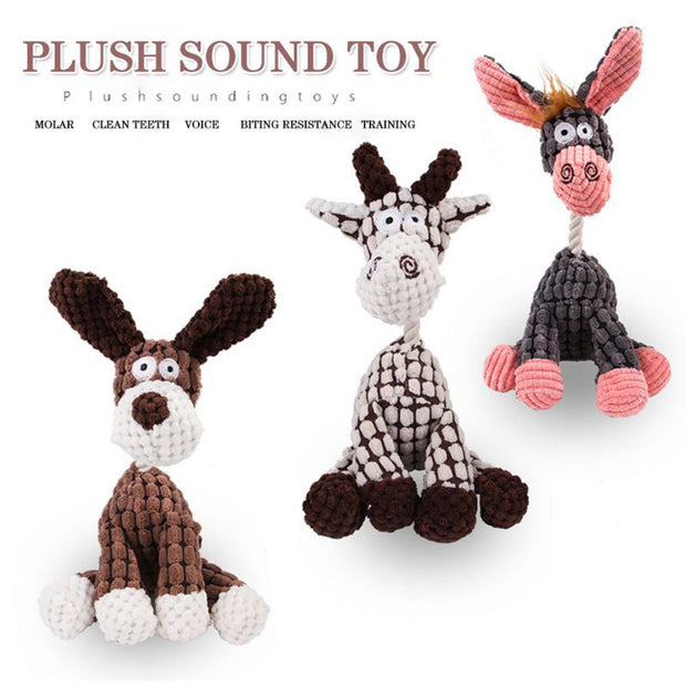Squeaky Bone Molar Toy - Woofpawz