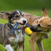 Ball On Rope - Woofpawz