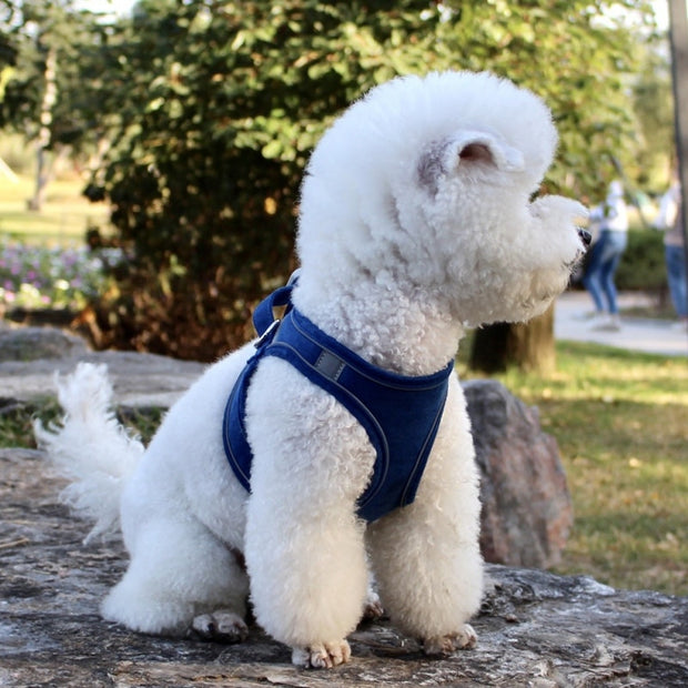 Chest Harness - Woofpawz