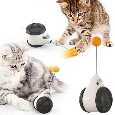 Automatic Indoor Cat Exercise - Woofpawz
