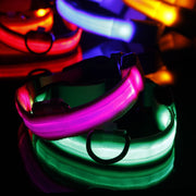 Pet Collar with LED Light - Woofpawz