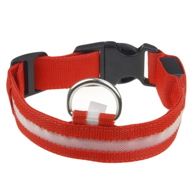 Pet Collar with LED Light - Woofpawz