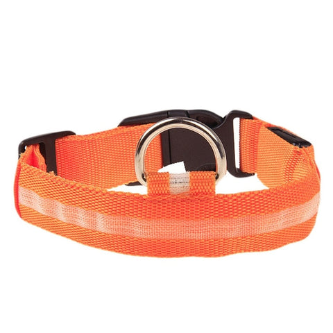 Pet Collar with LED Light - Woofpawz