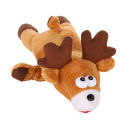 Squeaky Bone Molar Toy - Woofpawz