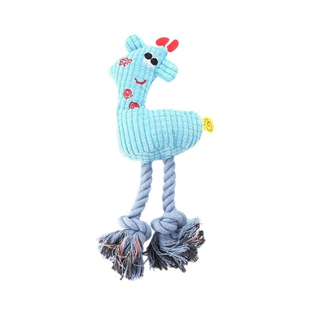 Squeaky Bone Molar Toy - Woofpawz