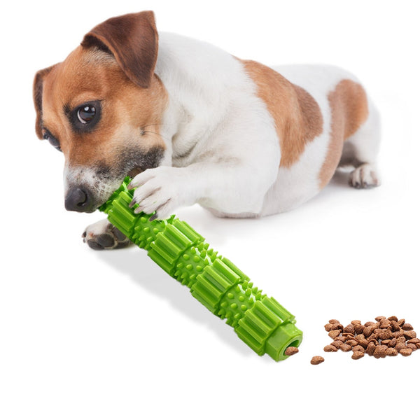 Dog Chew Toy - Woofpawz