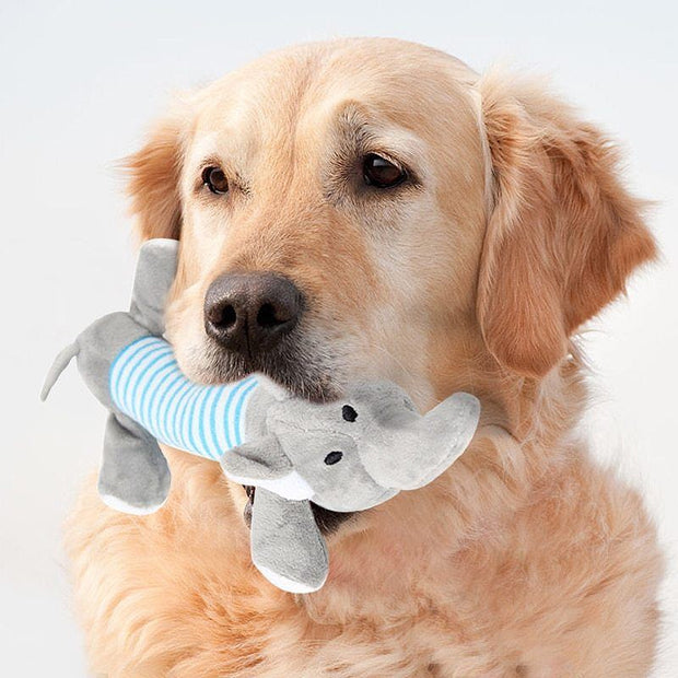 Pet Plush Toy - Woofpawz