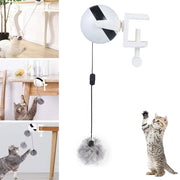 Lifting Electric Cat Toy - Woofpawz
