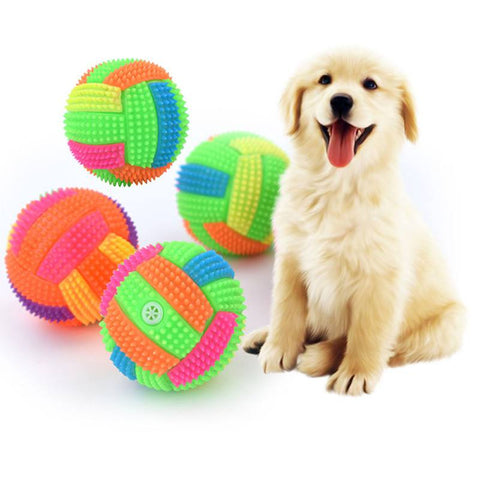 Dogs Football Toy - Woofpawz