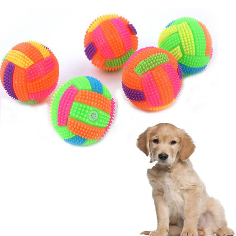 Dogs Football Toy - Woofpawz