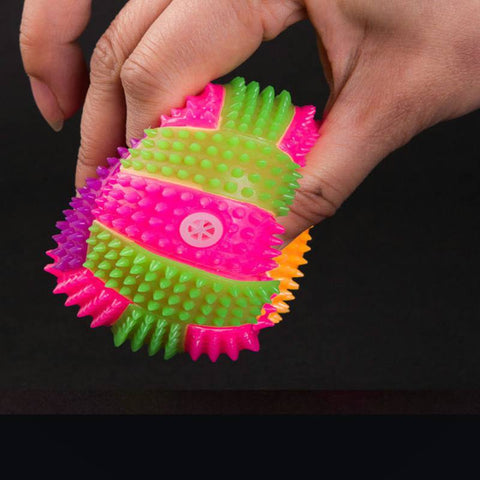 Dogs Football Toy - Woofpawz
