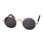 Pet Eyeglass - Woofpawz